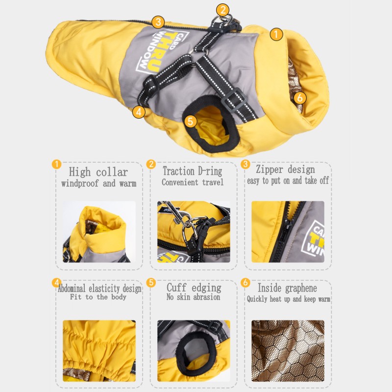 Giacca Invernale per Cani, Cap - Jack Winter Clothing recensione e prezzo