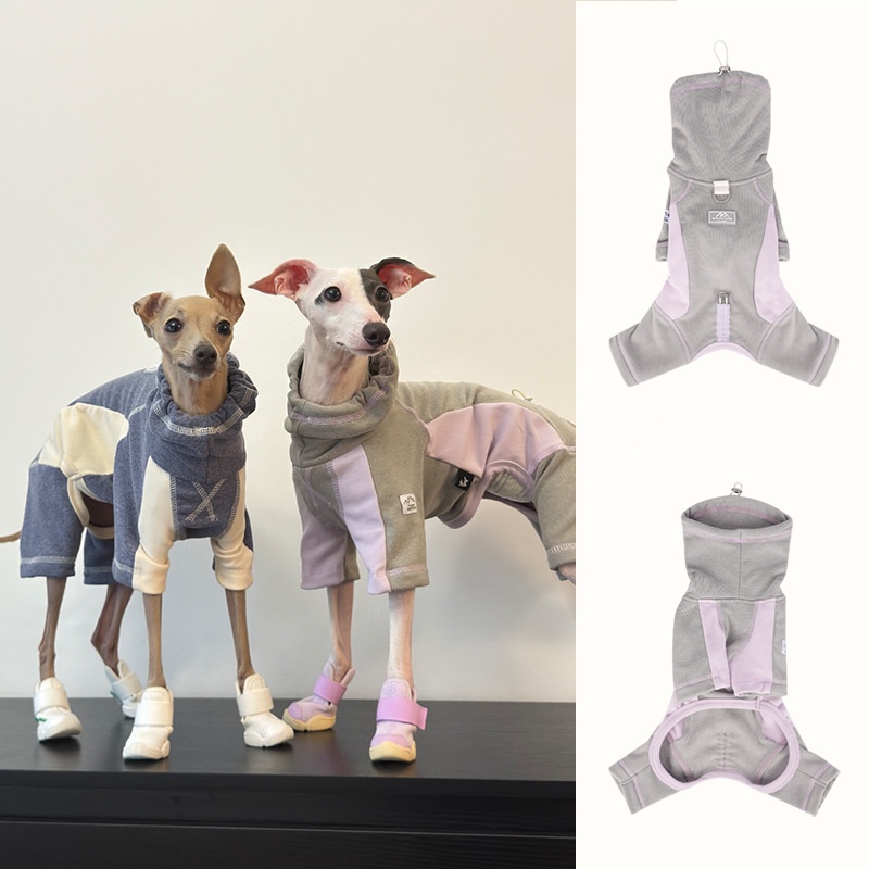 Vestiti per cani per cani autu - Winter Clothing Leg Warmers recensione e prezzo